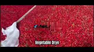 DW Belt Dryer Machine