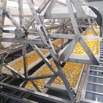 24KW Commercial Microwave Vacuum Dryer Pineapple Mango Dehydrator Oven