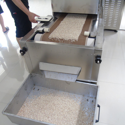 1000mm Belt Continuous Tunnel Dryer Microwave Sterilizer Industrial Drying Machine