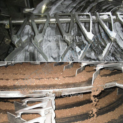 PLC Touch Screen Dog Cat Food Vacuum Freeze Dryer Pet Treats Lyophilizer