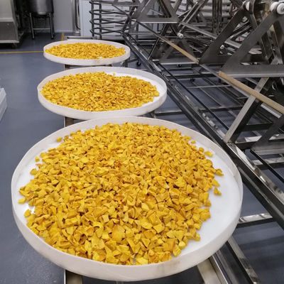 Commercial Fruit Vegetable Microwave Vacuum Dryer Industrial Food Drying Machine