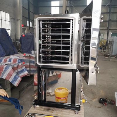 OEM ODM Vacuum Freeze Drying Equipment Pet Food Vegetables And Fruits Dryer
