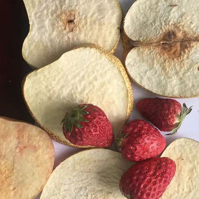 Yogurt Strawberry Jackfruit Vacuum Freeze Dryer PLC Potato Chips Drying Machine