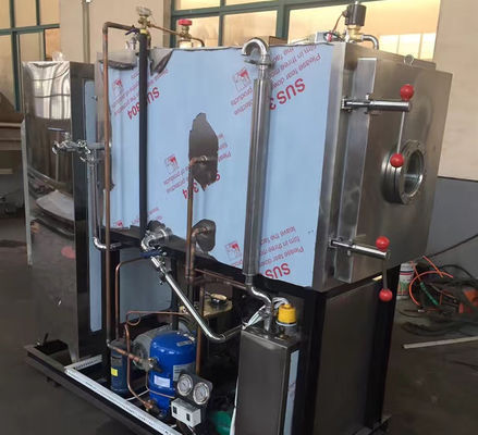 OEM ODM Vacuum Freeze Drying Equipment Pet Food Vegetables And Fruits Dryer