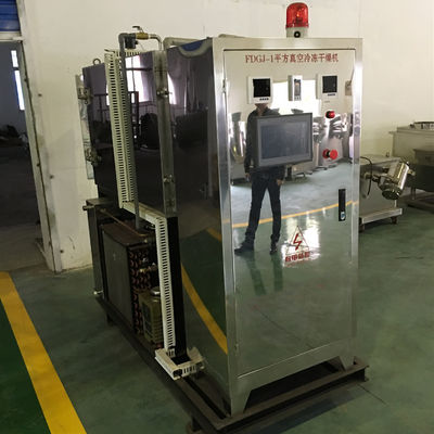 OEM ODM Vacuum Freeze Drying Equipment Pet Food Vegetables And Fruits Dryer